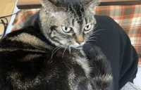 ペットと暮らす家🐱🐶