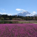 ちょっと静岡へ🗻