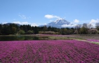 ちょっと静岡へ🗻