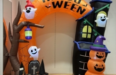 あっという間ですね！！