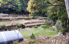 🌲腸活・菌活・デトックス山ヨガ体験記🌲