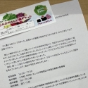 経過報告📝