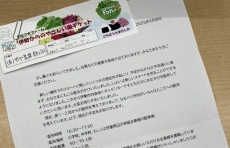 経過報告📝
